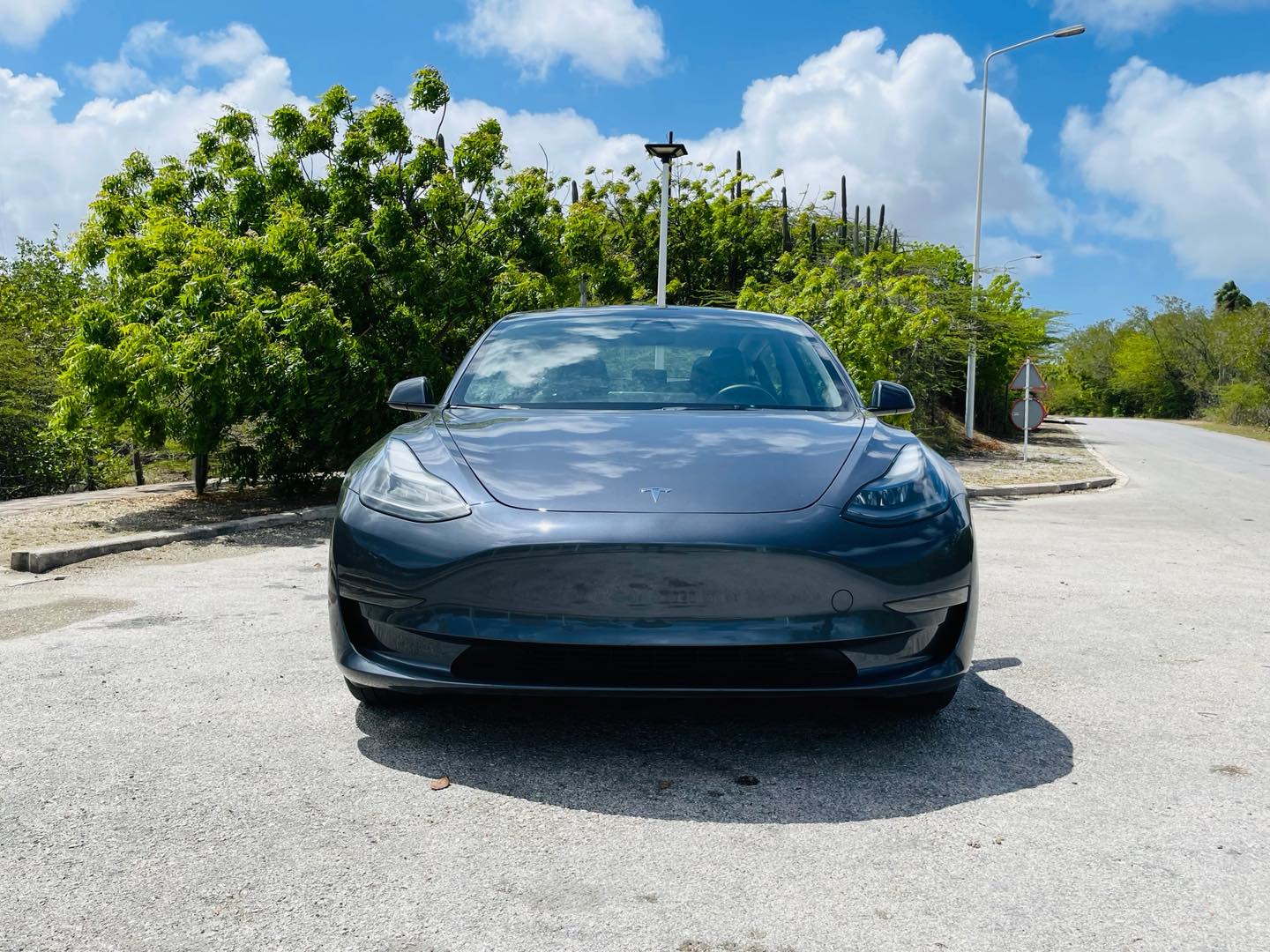 
								Tesla model 3 full									