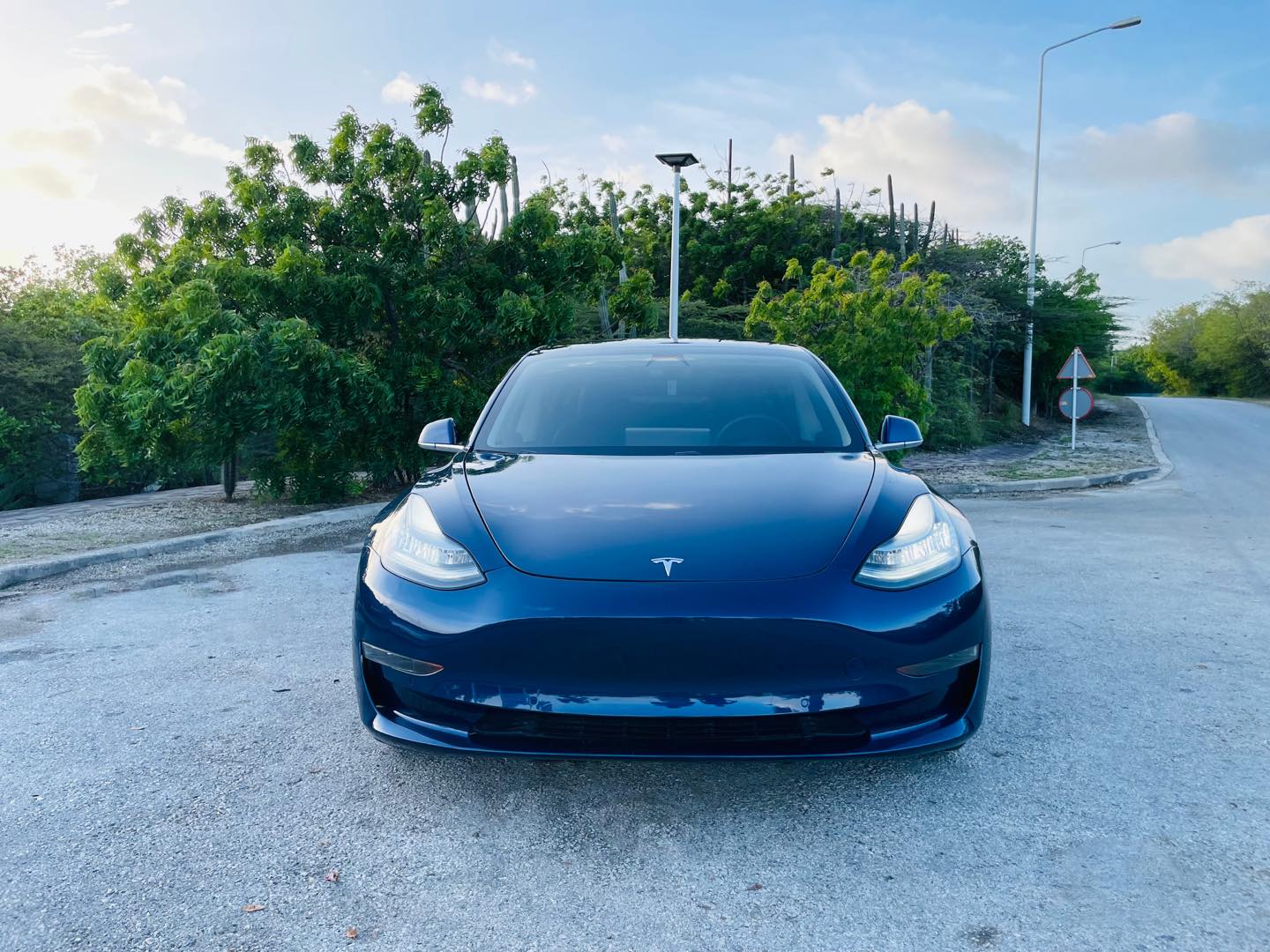 
								Tesla model 3 full									