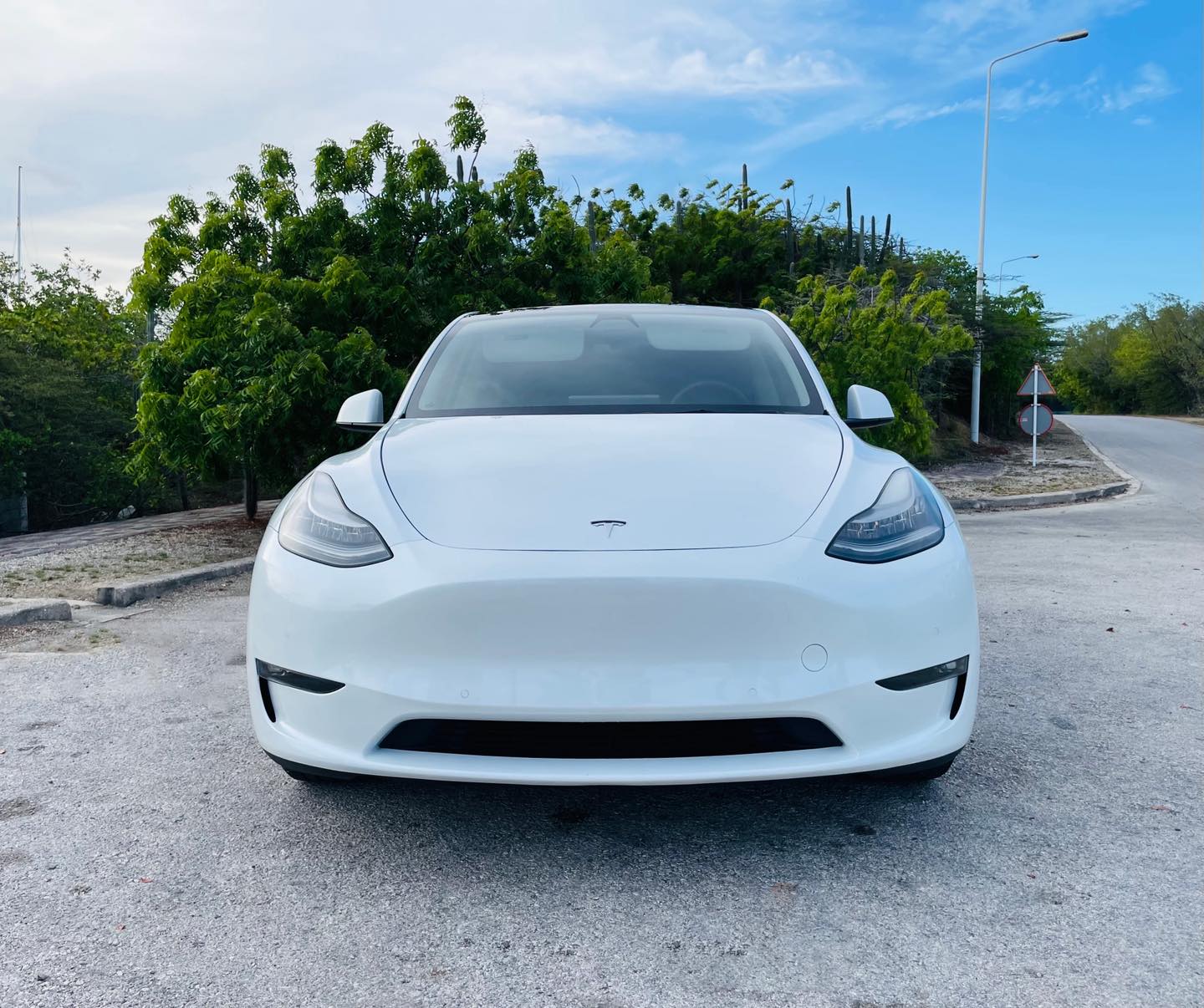 
								Tesla Model Y Standard Range full									