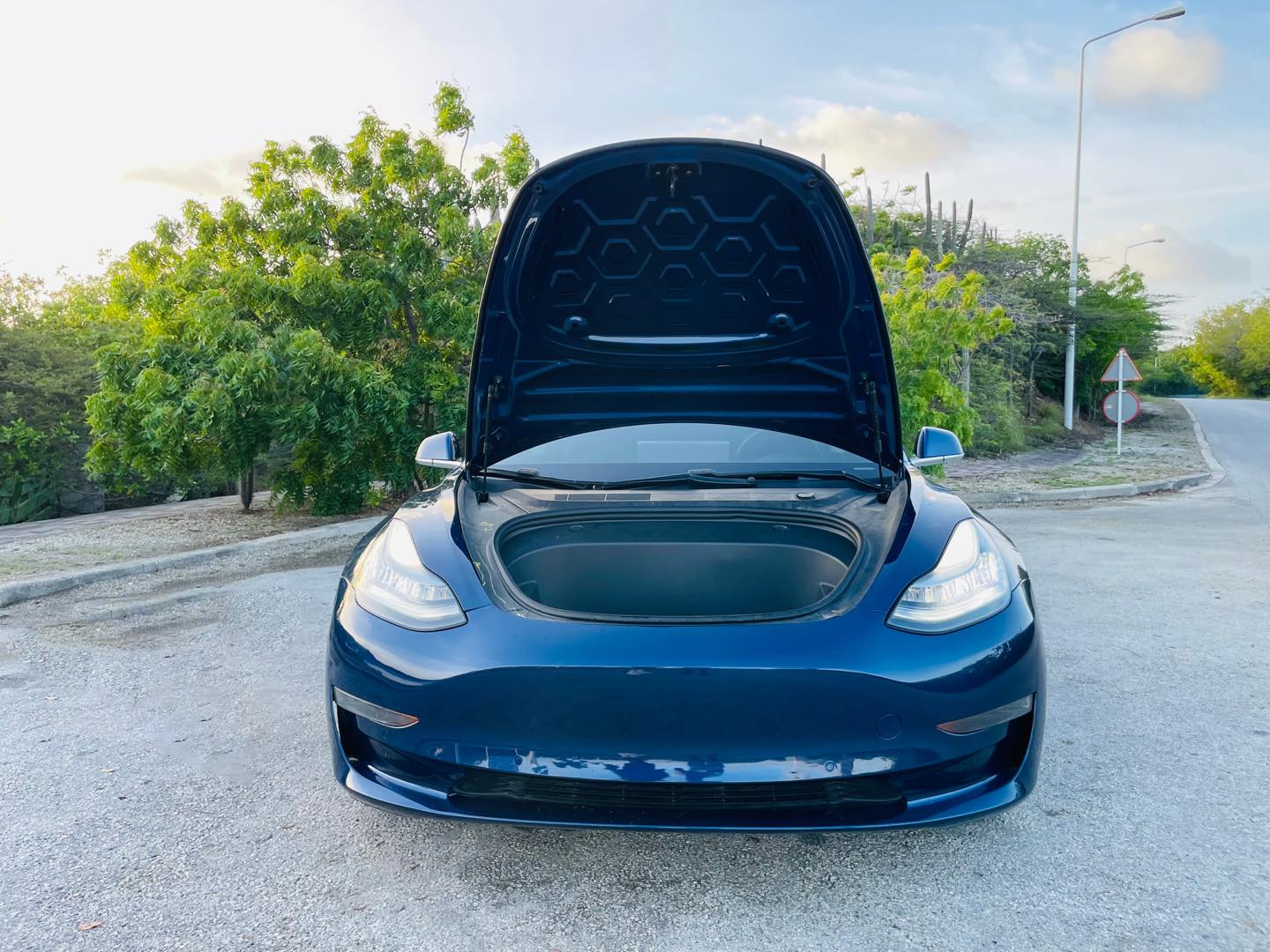 
								Tesla model 3 full									