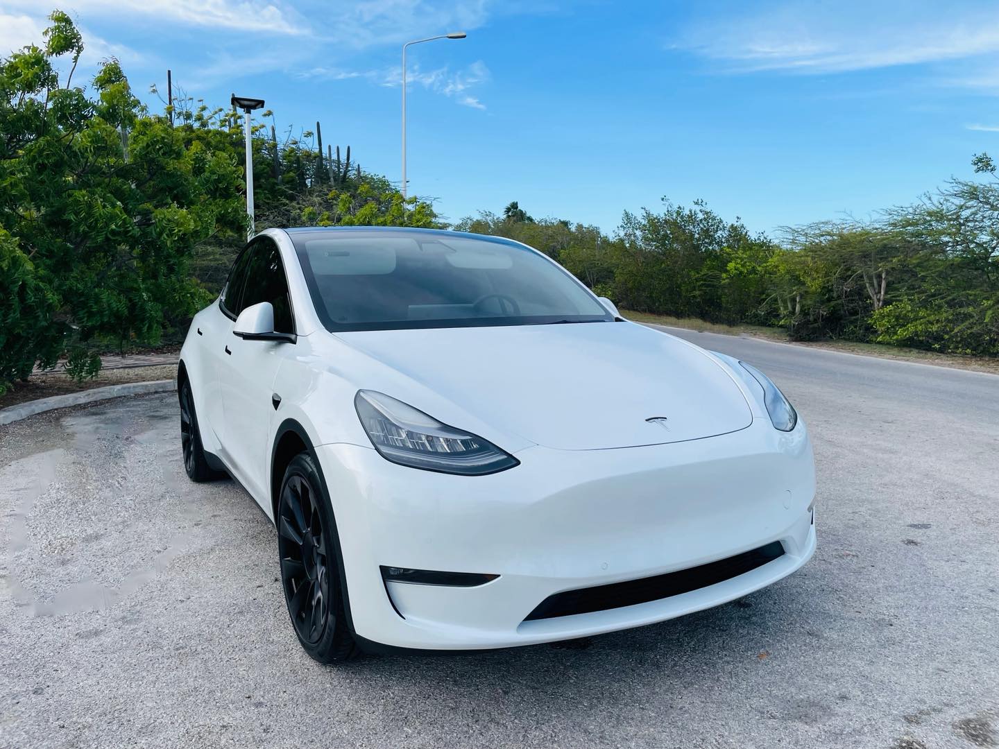 
								Tesla Model Y Standard Range full									