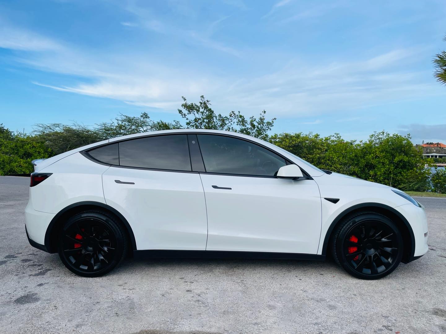 
								Tesla Model Y Standard Range full									