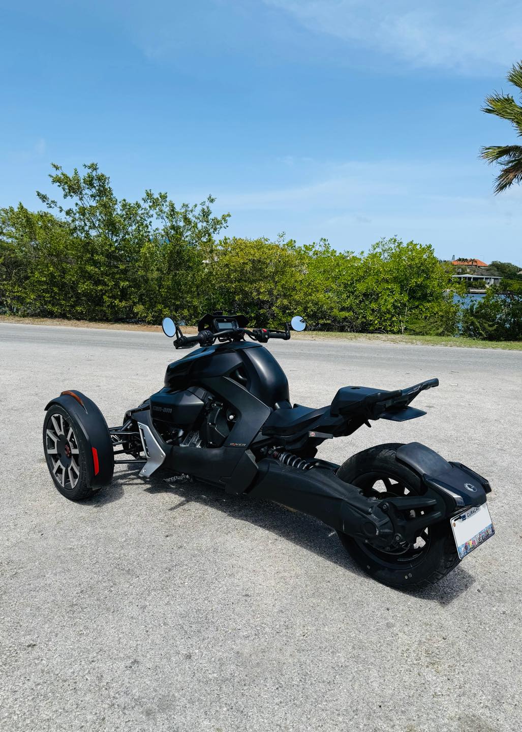 
								Can-Am Ryker full									