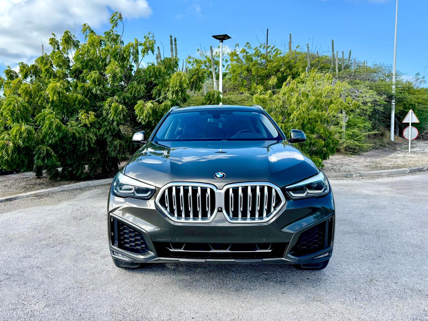 
								BMW X6 xDrive40i full									